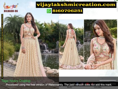 LaPink DilBagh 06 Heavy Crop Top Gown In Singles And Full Catalog