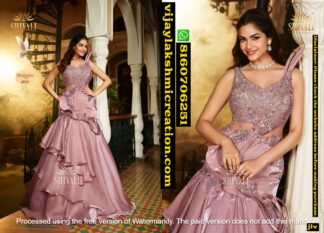 Shivali Shaayraana 2033 Pink Weeding Gown In Singles And Full Catalog